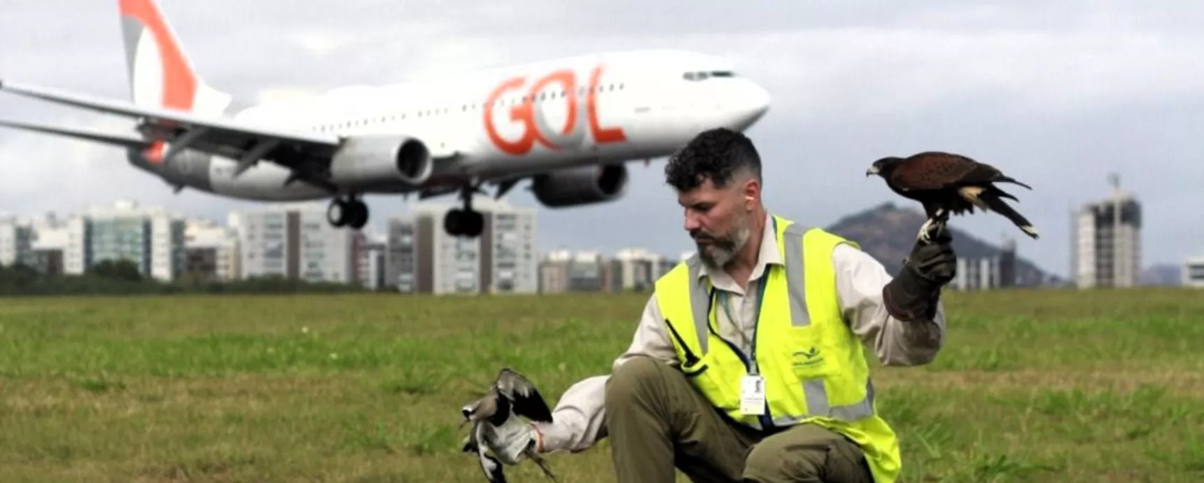 Aeroporto de Vitória ganha prêmio internacional por projeto de proteção à fauna