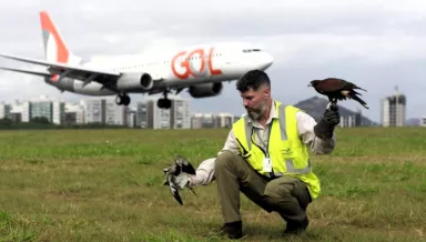 Aeroporto de Vitória ganha prêmio internacional por projeto de proteção à fauna